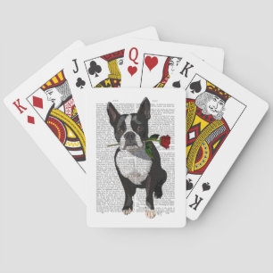 Boston Terrier with Rose in Mouth Playing Cards