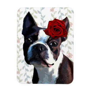 Boston Terrier with Rose on Head 2 Magnet