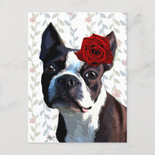 Boston Terrier with Rose on Head 2 Postcard
