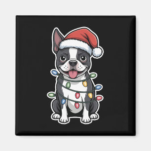 Boston Terrier Wrapped In Christmas Lights Magnet