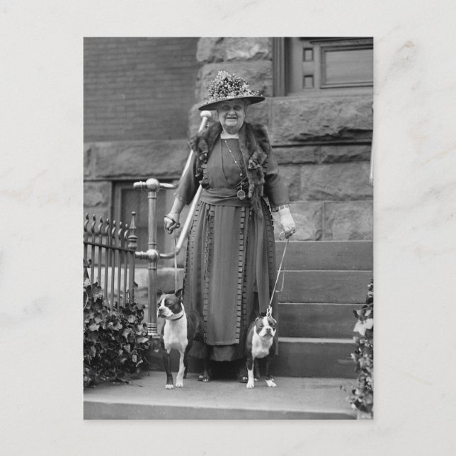 Boston Terriers & 1920s Fashion Postcard (Front)