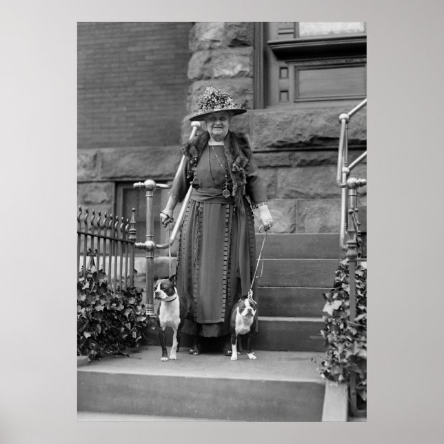 Boston Terriers and 1920s Fashion Poster (Front)