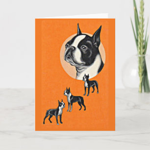 Boston terriers card