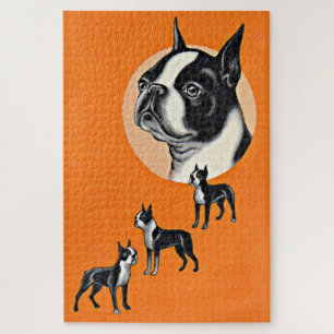  Boston terriers Jigsaw Puzzle