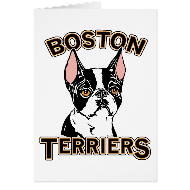 Boston Terriers Mascot (Front)
