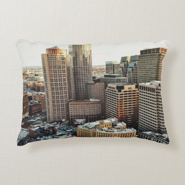 Boston view accent pillow (Front)