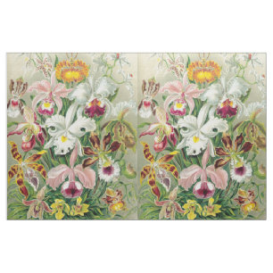 Botancal Orchid Flowers Floral Haeckel Fabric