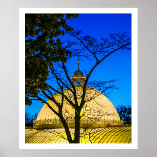 Botanic Gardens, Glasgow Poster