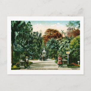 Botanic Gardens, Sydney, Australia Vintage Postcard