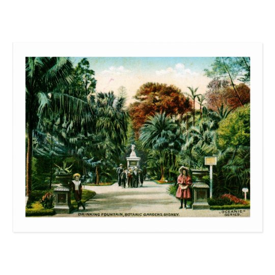 Botanic Gardens, Sydney, Australia Vintage Postcard