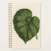 Botanic Plants Green Nature Cute