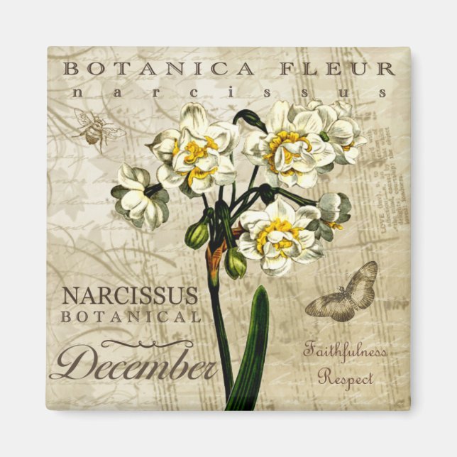 Botanica December Magnet (Front)