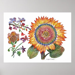 botanical46 poster