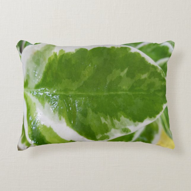 Botanical Accent Pillow (Front)