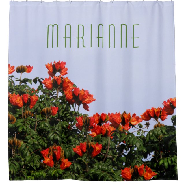 Botanical African Tulip Tree (Front)