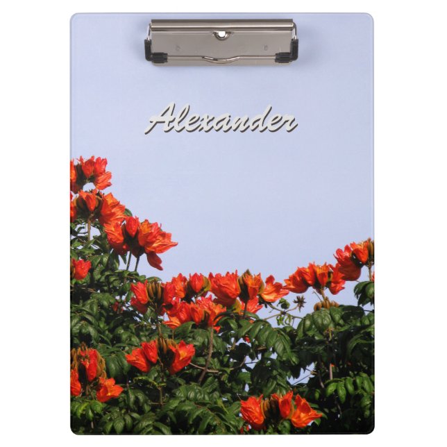 Botanical African Tulip Tree any Text Clipboard (Front)