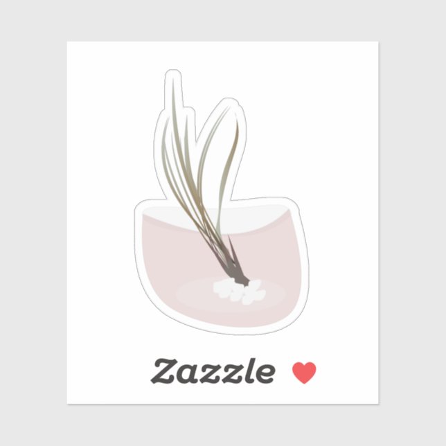 Botanical Air Plants Tillandsia Terrarium (Sheet)