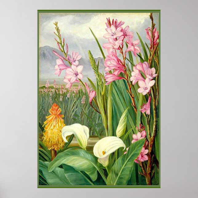 Botanical art: Beauties of the Swamp Poster (Front)