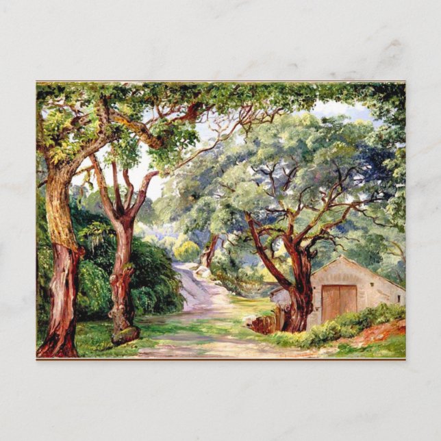 Botanical art: Cork Trees at Cintra near Lisbon Postcard (Front)