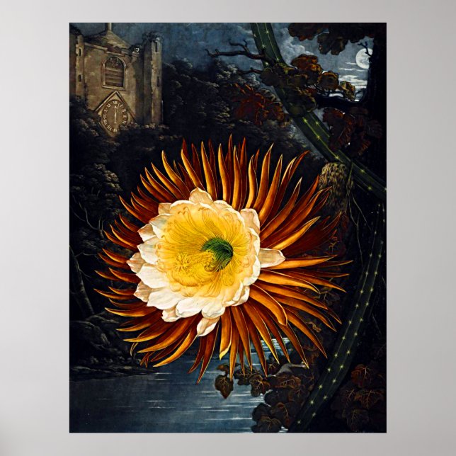 Botanical Art Temple Of Flora Night Blowing Cereus Poster (Front)