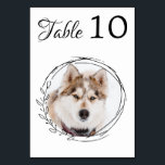 Botanical Black White Dog Wedding Modern Pet Photo Table Number<br><div class="desc">Table numbers by from your pets! Include your best dog, best cat and any pet in your wedding with his own table numbers for your guests. Perfect for dog lovers, and a special dog table numbers will be a hit at your wedding. Simple yet elegant white with eucalyptus leaves. Customize...</div>
