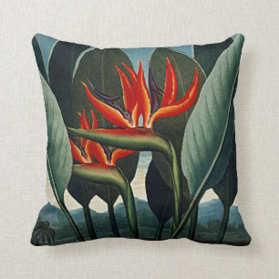 Botanical Blooms Bird Of Paradise Cushions