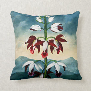 Botanical Blooms China Limodoron Cushions