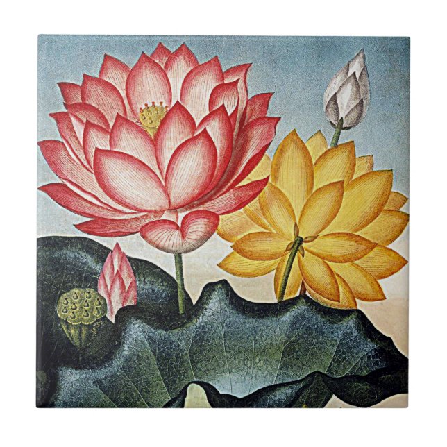 Botanical Blooms Tropical Flowers Ceramics Tile (Front)