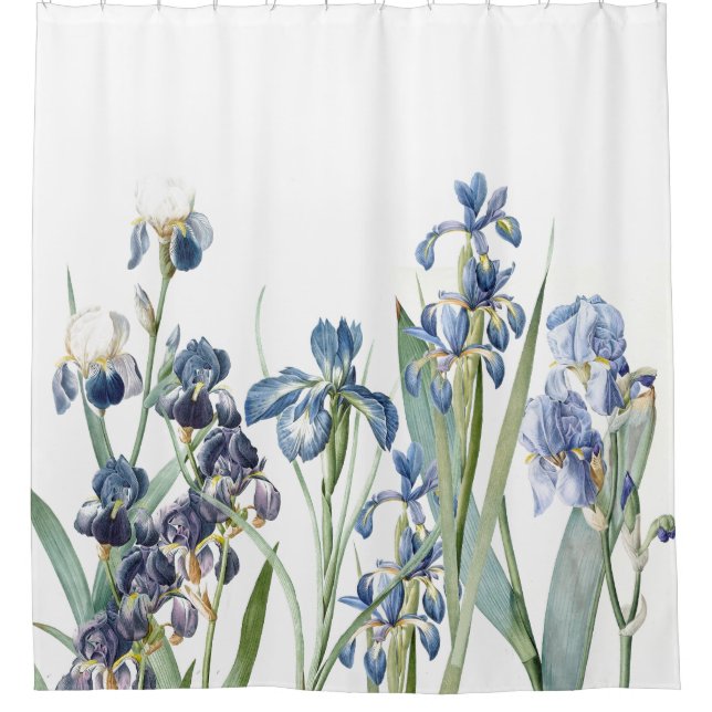 Botanical Blue Iris Flowers Floral Garden (Front)