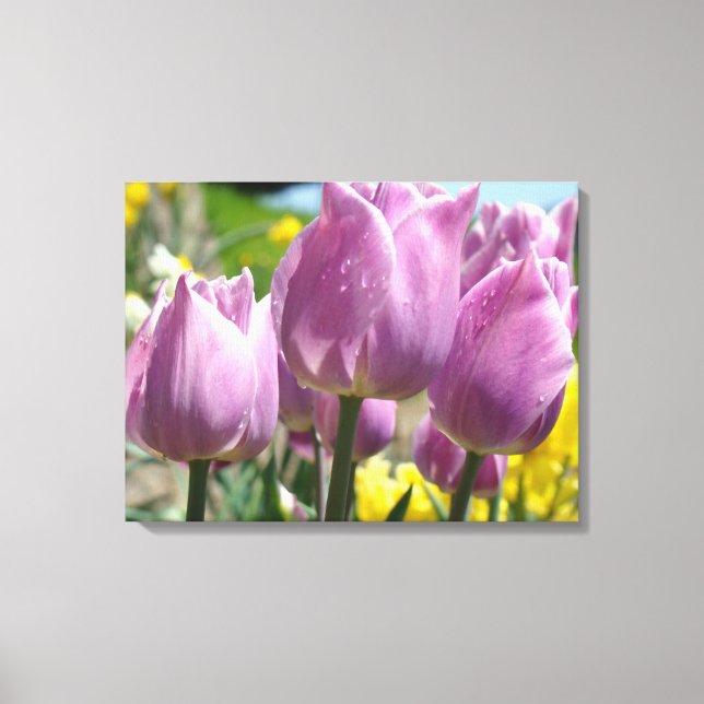 Botanical Canvas prints Purple Tulip Flowers (Front)