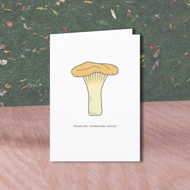 Botanical Chanterelle Mushroom Greeting Card (Botanical Chanterelle Mushroom Greeting Card)