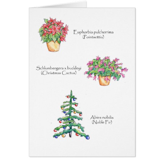 Botanical Christmas Card