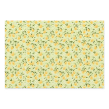 botanical citrus fruit summer and picnic