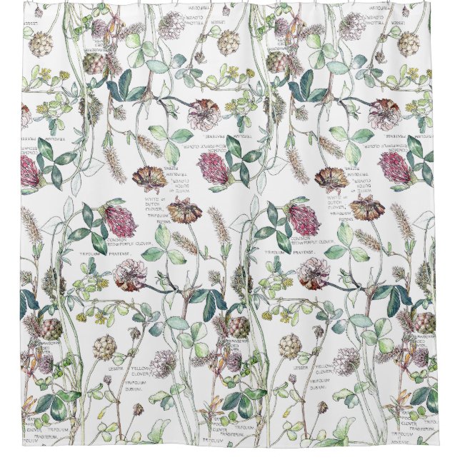 Botanical Clover Wildflower Flowers Shower Curtain (Front)