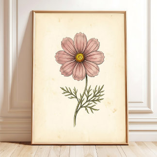 Botanical Cosmos Wall Art Print