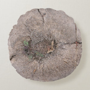Botanical Cut Palm Tree Photo Round Pillow