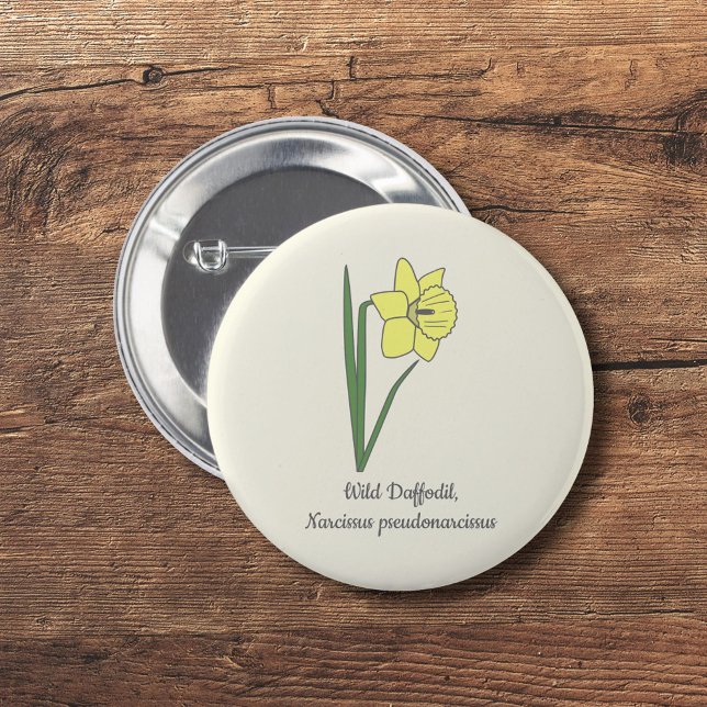 Botanical Daffodil Pastel Flower  2 Inch Round Button (Botanical Daffodil Button)