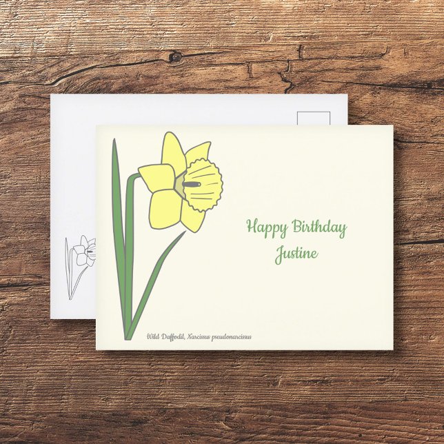 Botanical Daffodil Pastel Flower Postcard (Botanical Daffodil Postcard)