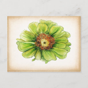 Botanical drawings postcards