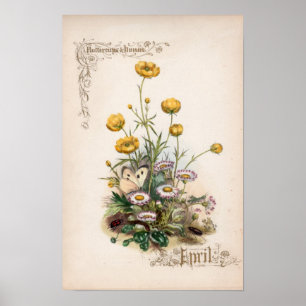 Botanical Engravings, April Poster