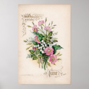 Botanical Engravings, June Poster