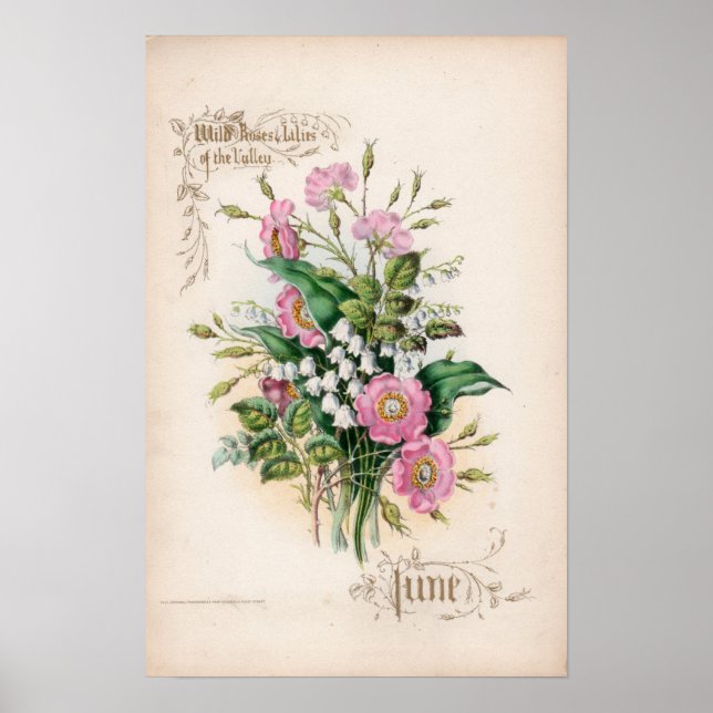 Botanical Engravings, June Poster (Front)