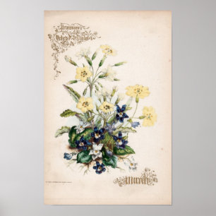 Botanical Engravings, March Poster