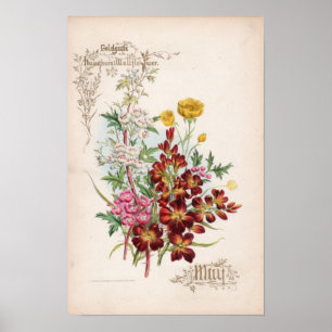 Botanical Engravings, May Poster