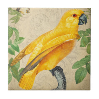 Botanical Exotic Wildlife Yellow Jungle Parrot Tile