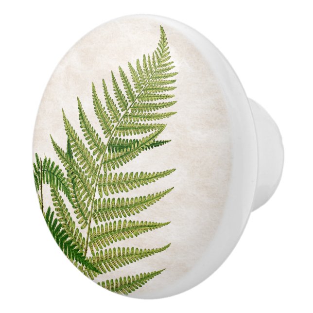 Botanical Fern Leaves Art Knob (Right)