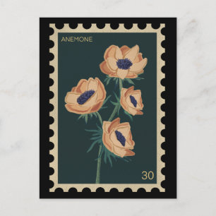 Botanical Floral Anemone - windflowe Postcard