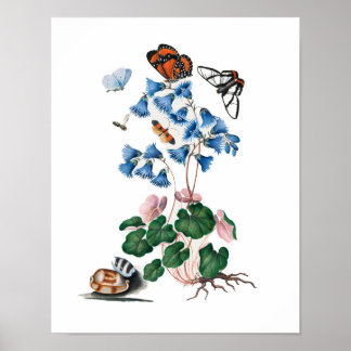botanical floral posters
