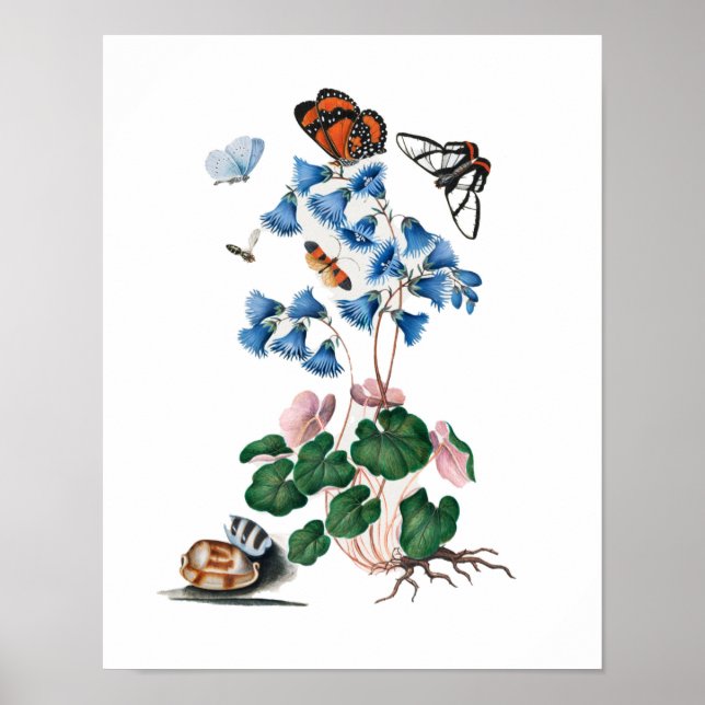 botanical floral posters (Front)