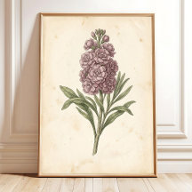 Botanical Flower Art Print Boho Style